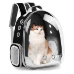 Top Cat Backpack Tips For Safe Traveling With Your Pet