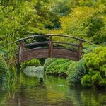 Spend A Day Exploring Gardens Around Fort Worth, Texas 76107